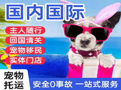 新桥机场物流国际宠物托运 【国